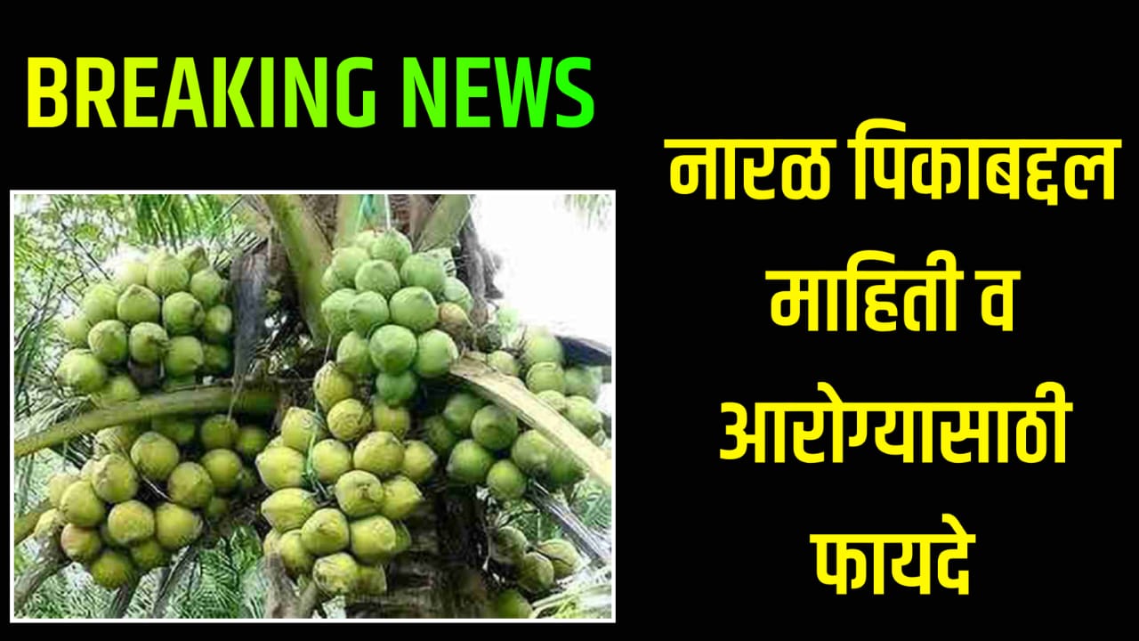 Coconut Cultivation Information